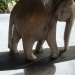 Vieil éléphant de la mémoire - 2023